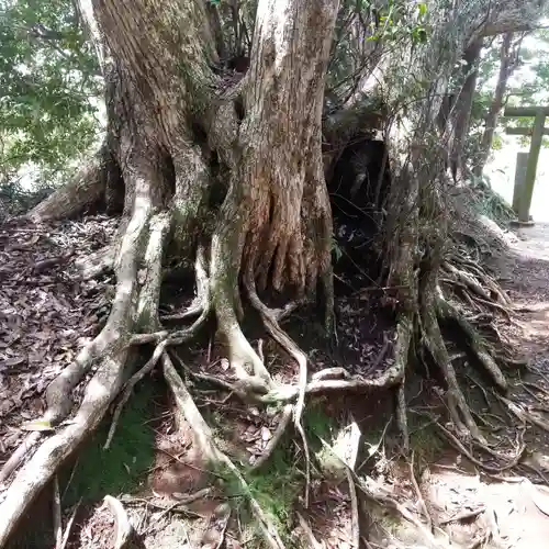 塩釜神社の自然