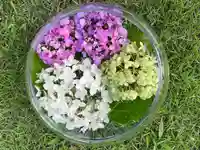 秩父札所十三番 慈眼寺(埼玉県)