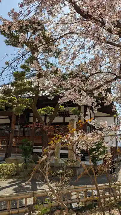 墨染寺(桜寺)の自然