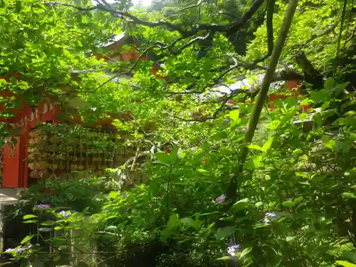 荏柄天神社の自然