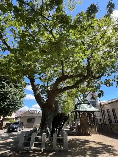 阿邪訶根神社(福島県)