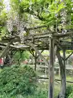 亀戸天神社の{uncategorized: "未分類", other: "その他", undefined: "問題あり", building: "その他建物", grave: "お墓", sacred_gate: "鳥居", guardian: "狛犬", statue: "像", buddha: "仏像", history: "歴史", nature: "自然", garden: "庭園", animal: "動物", pagoda: "塔", temizu: "手水舎", mountain_gate: "山門・神門", sanctuary: "本殿・本堂", subordinate: "末社・摂社", art: "芸術", scenery: "景色", jizo: "地蔵", ema: "絵馬", goshuin: "御朱印", omikuji: "おみくじ", items: "授与品その他", amulet: "お守り", goshuincho: "御朱印帳", eats: "食事", festival: "お祭り", votive_dance: "神楽", shichigosan: "七五三参", wedding: "結婚式", experience: "体験その他", initially: "初詣", around: "周辺", anti_infection: "感染症対策"}