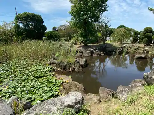 勝覚寺の庭園