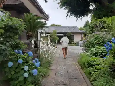 遍照院(東京都)