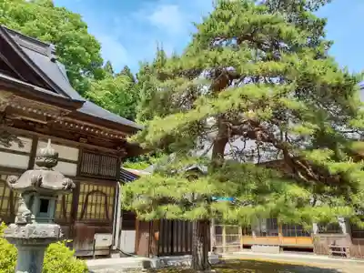 浄光寺(岩手県)