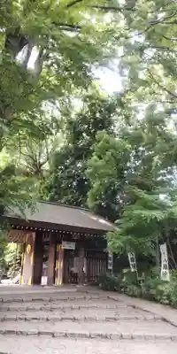 阿佐ヶ谷神明宮(東京都)