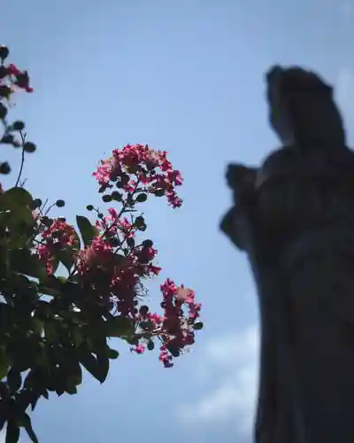 不動寺(松井田不動尊) (群馬県)