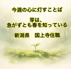 国上寺(新潟県)(2026年03月08日(日) 13時12分44秒投稿)