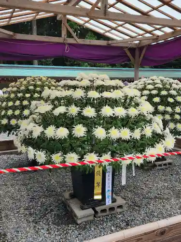 彌彦神社の庭園