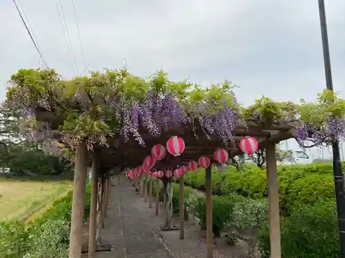 城ヶ入観音(愛知県)