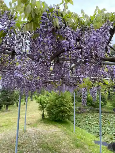 大生郷天満宮の自然