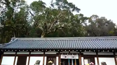 五社神社のその他建物