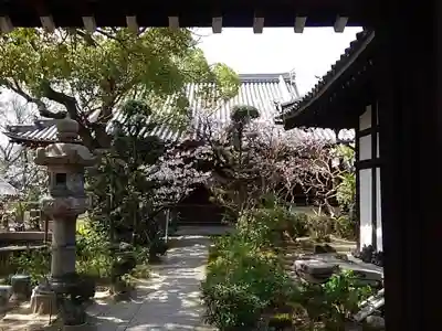大寶寺（大宝寺）のその他建物