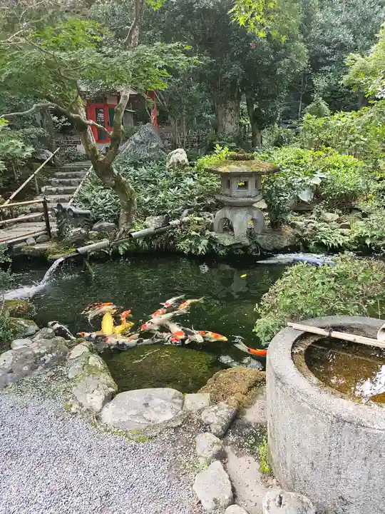 一條殿 新善光寺(京都府)