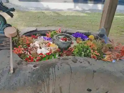 長沼神社(北海道)