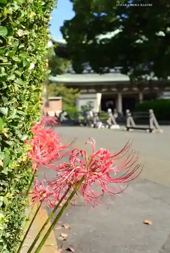 総持寺(神奈川県)