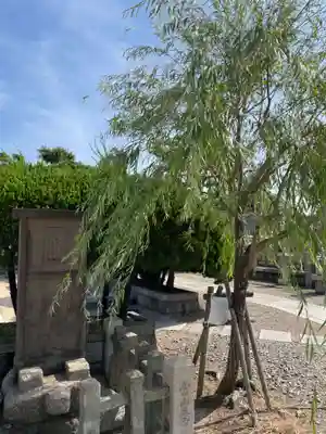 真光寺(兵庫県)