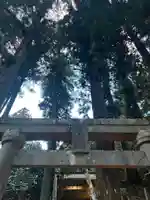 大宮温泉神社(栃木県)