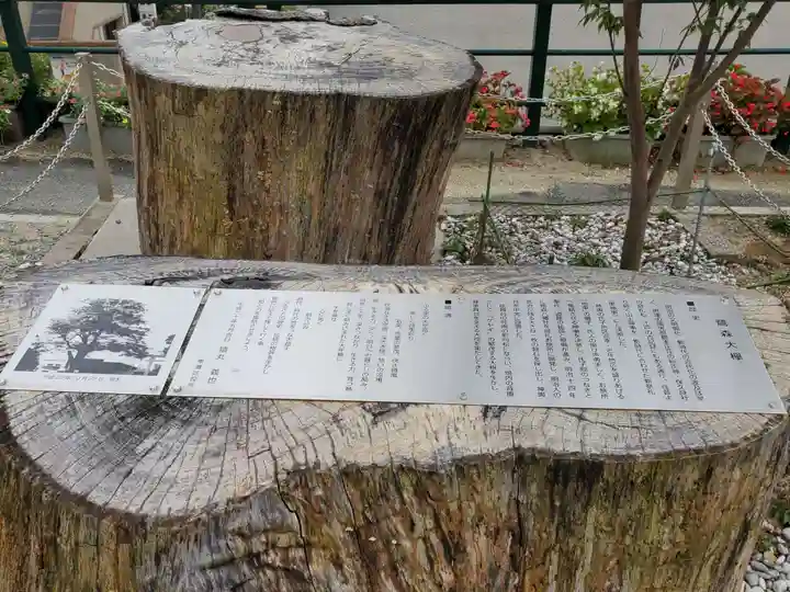 鷺宮八幡神社(保久良神社末社・お旅所)の自然