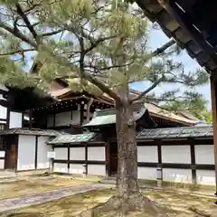 玉鳳院(京都府)