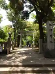 赤坂氷川神社の建物その他