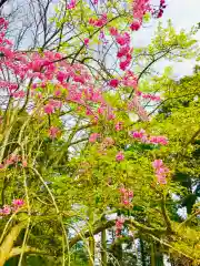 香取神宮の自然