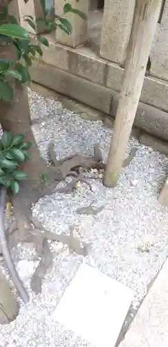 小野照崎神社の自然