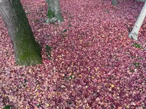若宮神明社(愛知県)