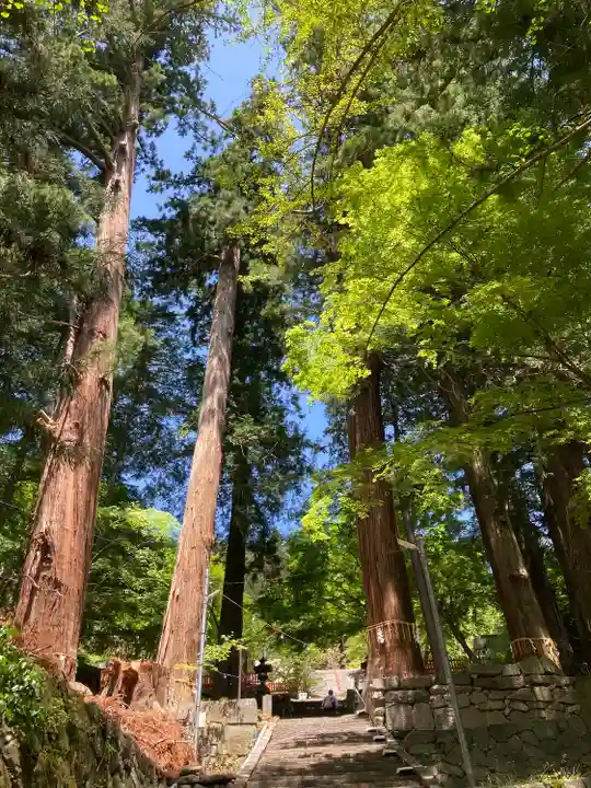 金櫻神社のその他建物