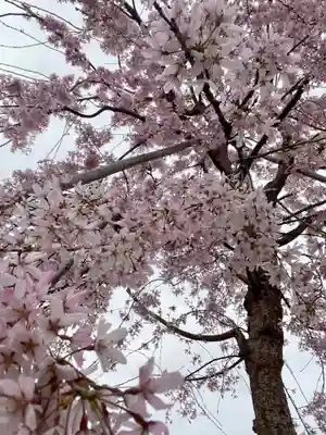 實相寺（実相寺） (京都府)