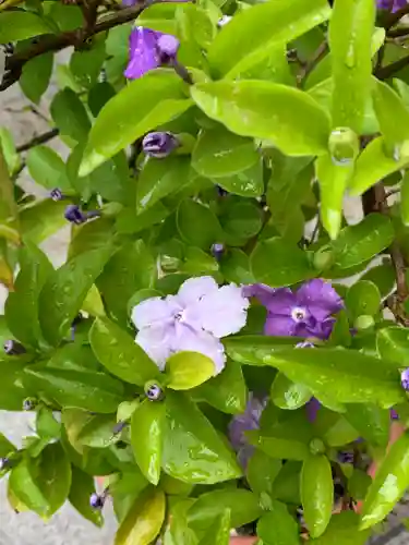 三宮神社の自然