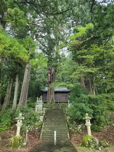 白山神社(福井県)
