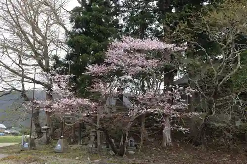 諏訪神社の景色