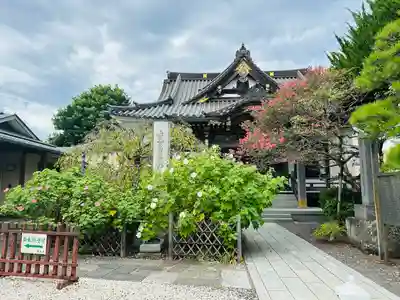 妙隆寺(神奈川県)