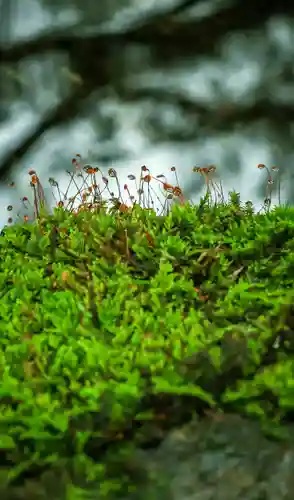 穂高神社奥宮(長野県)