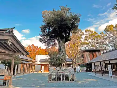 井伊谷宮のその他建物