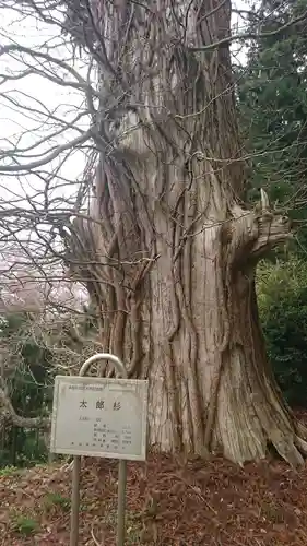 箟峯寺の自然