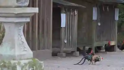 石上神宮(奈良県)