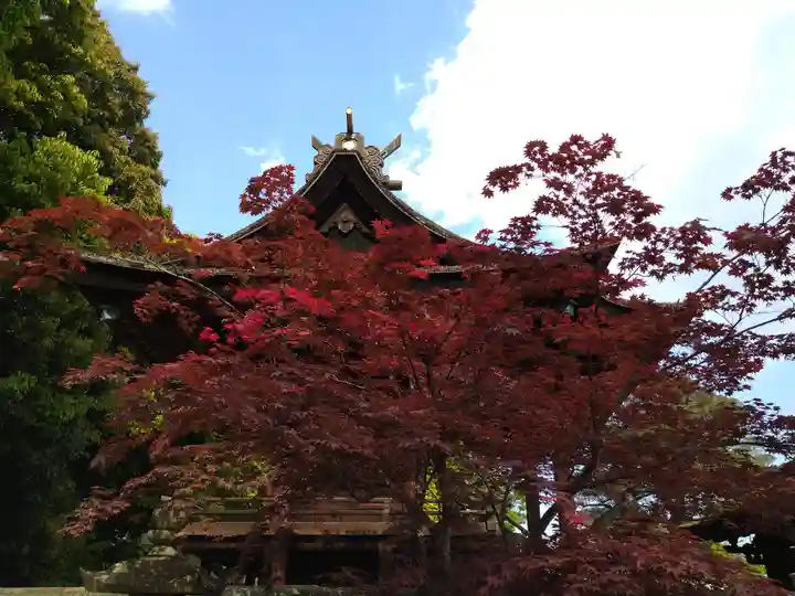 阿智神社(岡山県)