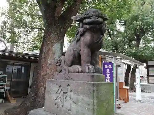 橘樹神社の狛犬