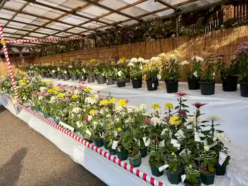 湯島天満宮(東京都)