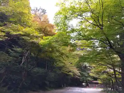 大矢田神社(岐阜県)