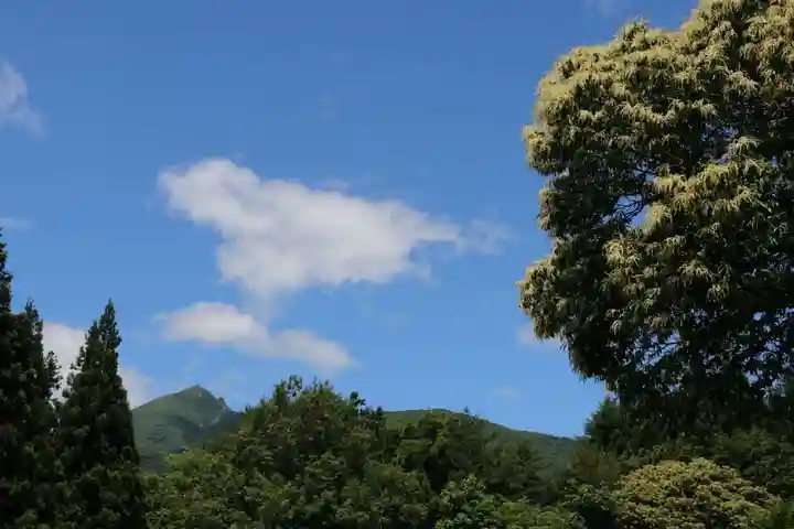 磐椅神社の自然