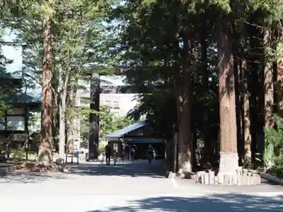北海道神宮の鳥居