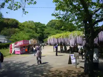 玉敷神社(埼玉県)