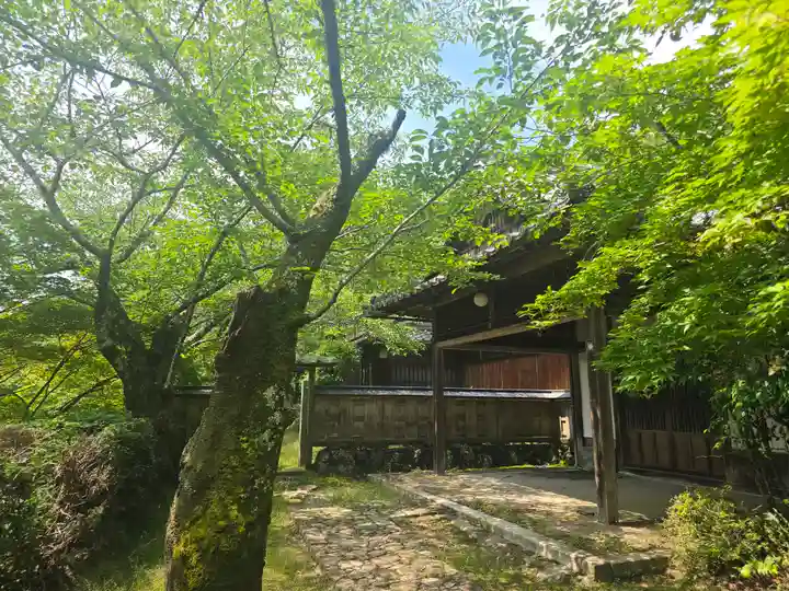 勝持寺(花の寺)(京都府)