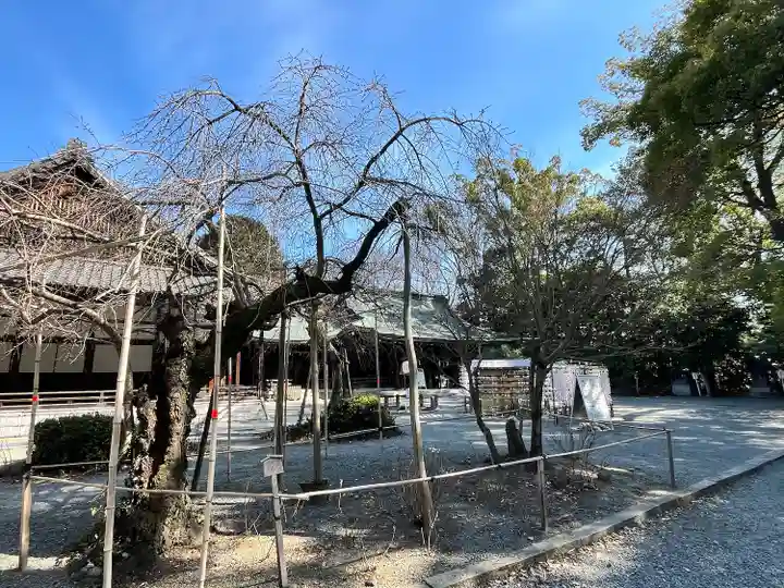 水無瀬神宮(大阪府)