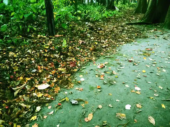 十和田神社の自然