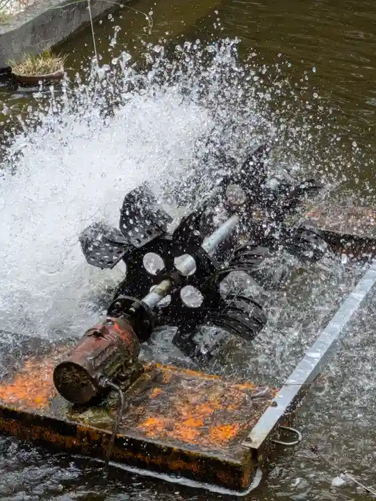 中津大神宮(大分県)