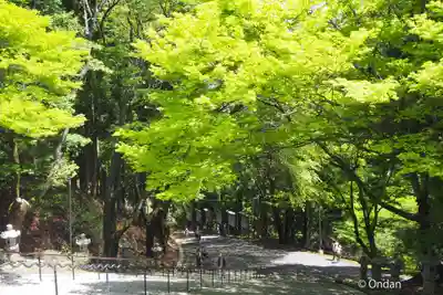 比叡山延暦寺(滋賀県)